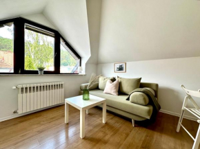 Studio Leśny Żubr IV